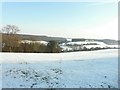 Footpath to Tappington Hall