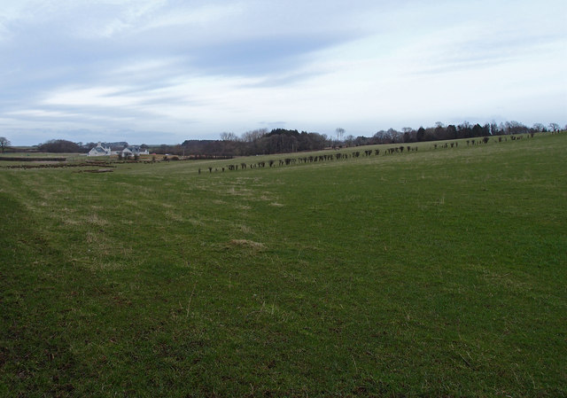 Farmland near Cloncaird
