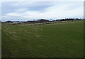 Farmland near Cloncaird