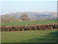 Shillingstone: view towards Hambledon Hill from New Cross