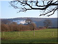 Okeford Fitzpaine: chalk quarry view from Shillingstone Lane