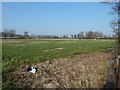 Stubble field west of Sake Ride Lane