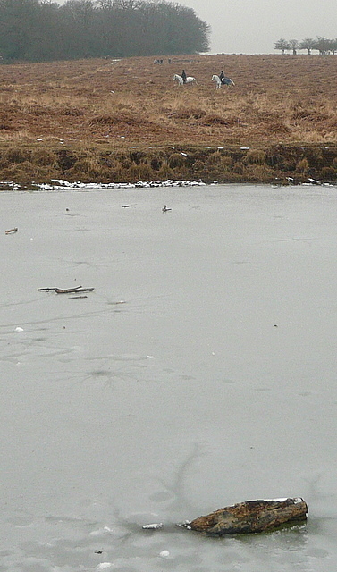 Across Leg of Mutton Pond
