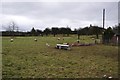 Holcombe Rogus : Sheep in a Field