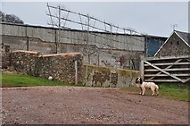 ST0620 : Mid Devon : Kytton Barton Farm by Lewis Clarke