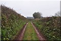 Mid Devon : Farm Track