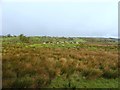 Knocknahorn Townland