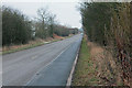 Long Road from Footpath