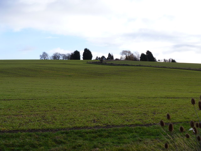 Nardey Bush Hill