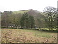 Berristall Farm from Berristall Road