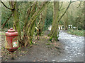 Cast dog waste bin by the path