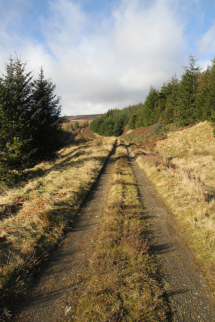 A forestry road at Bught Rig