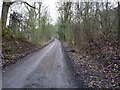 The former GWR, now NCN45, near Linley Halt