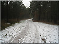 SU8354 : Snow covered track by Mr Ignavy