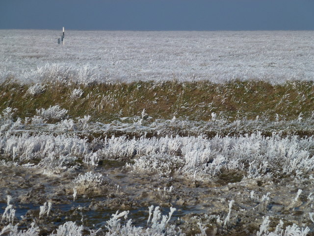The Wash coast in winter - Looking over the frozen salt marsh