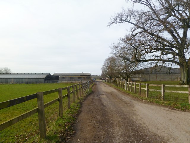 Witchampton, farm entrance