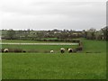 View eastwards across farmland in the direction of Crossan Road