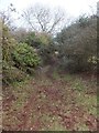 Footpath to Holcombe