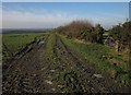 Field track near Higher Bradaford