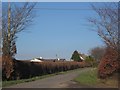 Road passing Cross Park Cottage