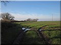 Field near Middlecott Cross