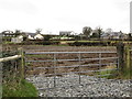 Modern Bungalows on Carnany Road