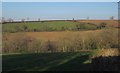 Fields north of Virginstow