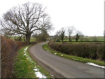 SK6815 : Gaddesby Lane towards Rotherby by Andrew Tatlow
