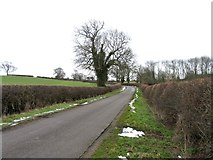 SK6815 : Gaddesby Lane towards Gaddesby by Andrew Tatlow