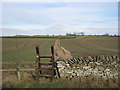 Footpath north from minor road to the east of Brickkiln Lane