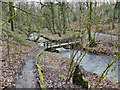 SD6306 : Borsdane Brook, Borsdane Wood by David Dixon