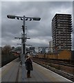 DLR Platforms, Shadwell Railway Station