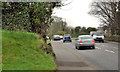J3683 : The Shore Road, Jordanstown/Greenisland (3) by Albert Bridge