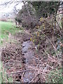 Small stream viewed from the Ballykeel Road