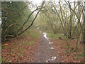 Shady footpath to Fleet