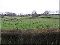 Corbally Townland