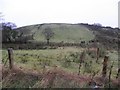 Tattymoyle Middle Townland