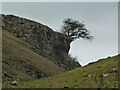 SK1775 : Limestone scenery in upper Cressbrook Dale by Andrew Hill