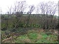 Glengeen Townland