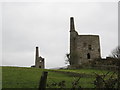 Wheal Bush