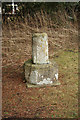 TL2064 : Churchyard cross by Richard Croft