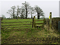 Stile and Footpath, St.Nicholas