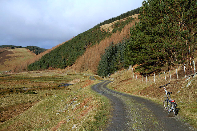 The road to Muttonhall