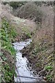 Whitford : Small Stream