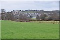 East Devon : Colyton View & Fields