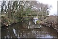 East Devon : Small Stream