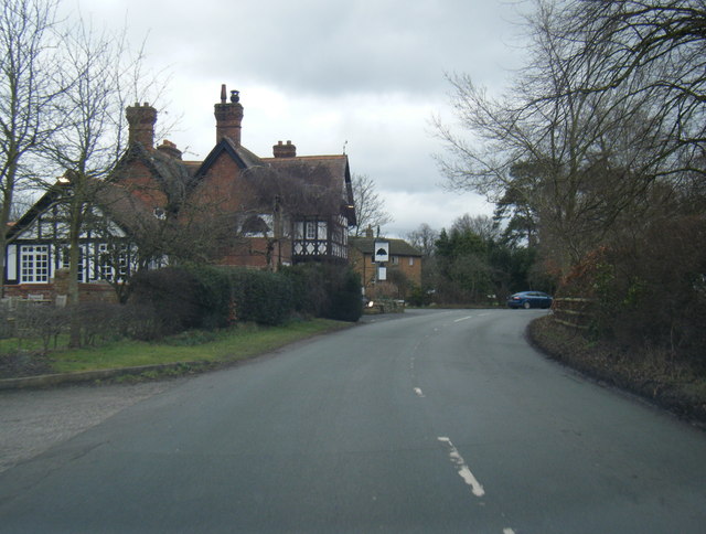 Long Lane at the Yew Tree Inn