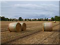 Farmland, Sutton-on-the-Forest