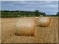 Farmland, Helperby