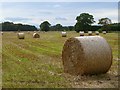 Farmland, Sutton-on-the-Forest